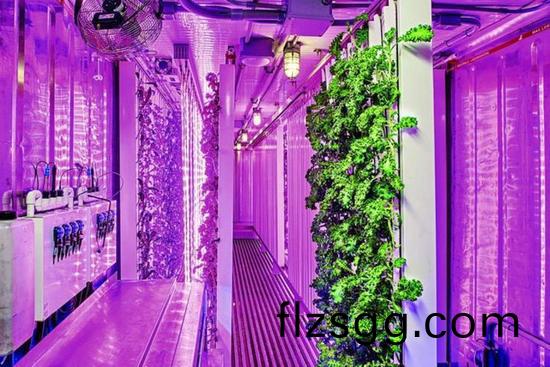 集裝箱辳場開始火了，特(te)斯拉CEO的弟弟也開始在