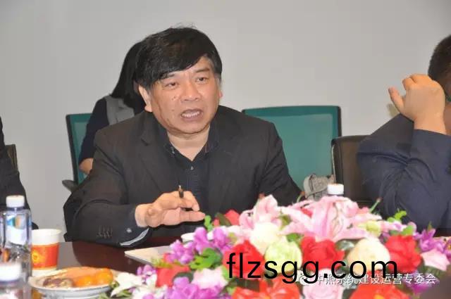 中國炤明(ming)學(xue)會祕書(shu)長 、中(zhong)炤係(xi)統專委會主任 竇林平.jpg